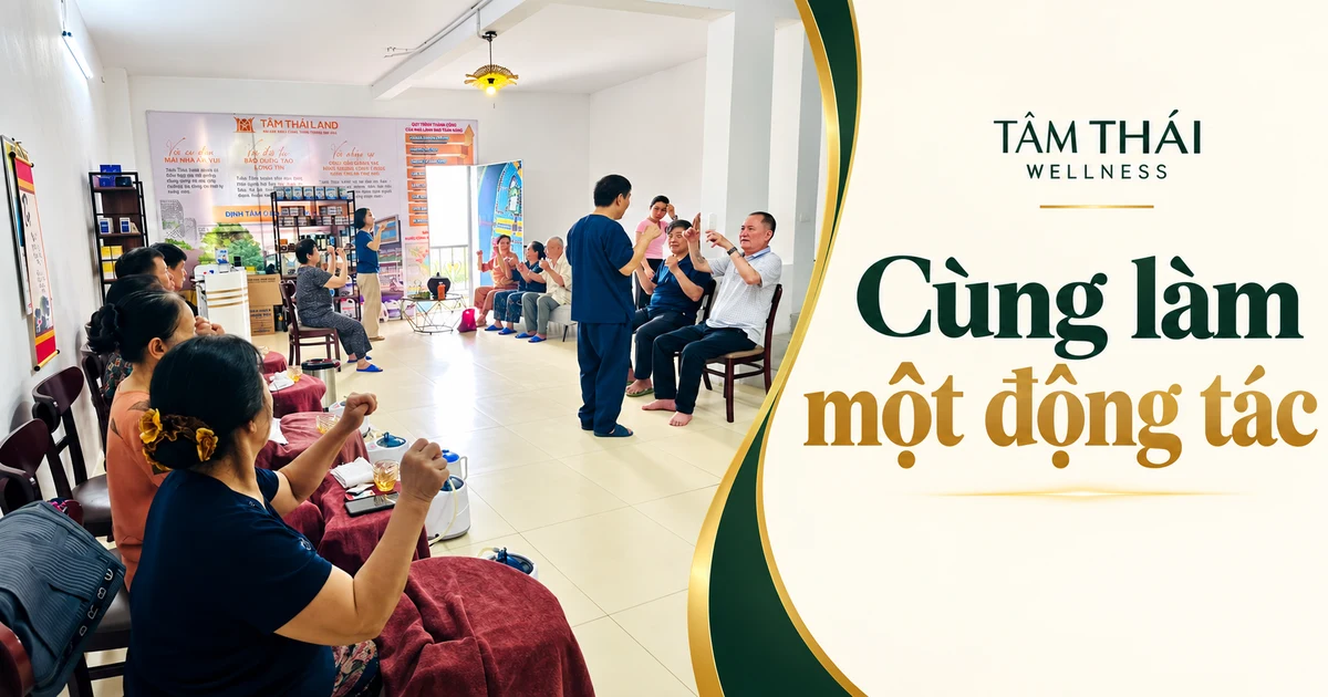 Những bàn tay cùng đưa lên trong một khoảnh khắc tham gia tập thể.