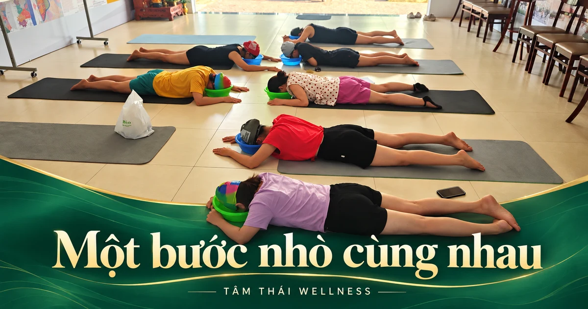 Góc rộng ghi lại nhóm người lớn cùng thực hành trên thảm.