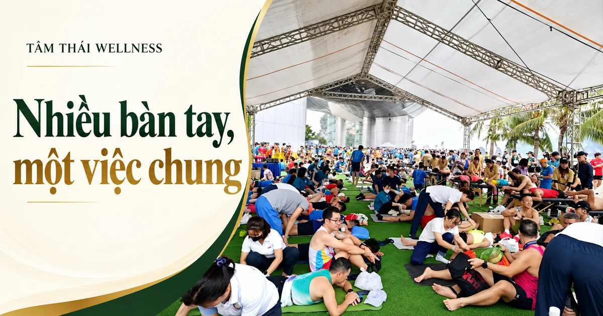 Toàn cảnh khu vực hỗ trợ với nhiều người cùng hoạt động dưới mái che.